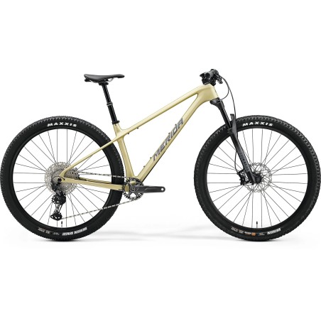 VTT carbone Merida Big Nine TR 5000