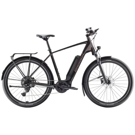 Vélo électrique Diamant Zing trip core