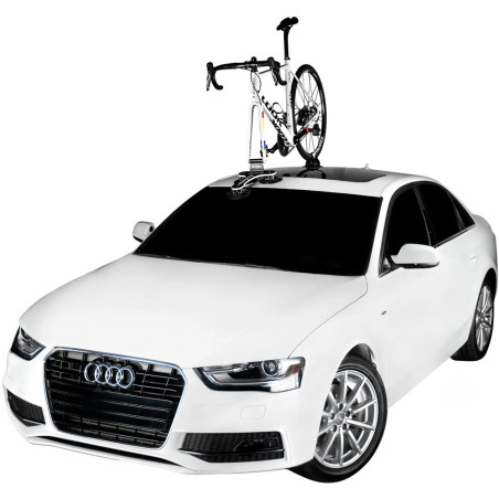 Seasucker Talon Rack roof