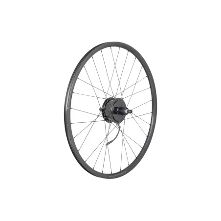 Hyena rear wheel
