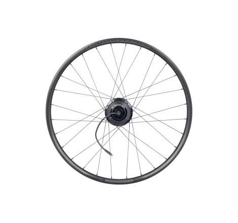 Hyena rear wheel