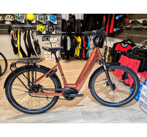 Vélo électrique Trek District+ 4 courroie