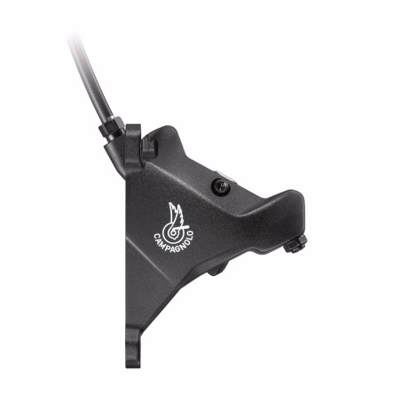 Shifter Campagnolo Super Record Disc 12s.