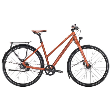 Citybike Diamant Mahon Style plus lowstep