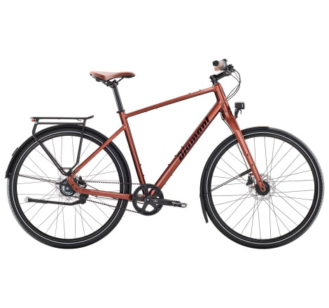 Citybike Diamant Mahon Style plus