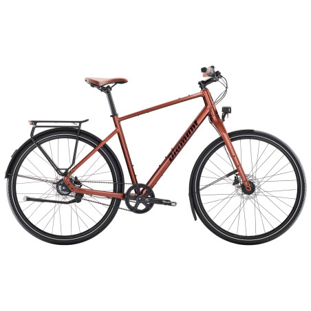 Citybike Diamant Mahon Style plus
