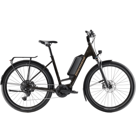 E-bike Diamant Zing trip 800Wh