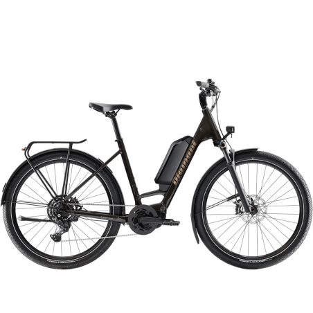 E-bike Diamant Zing trip 800Wh