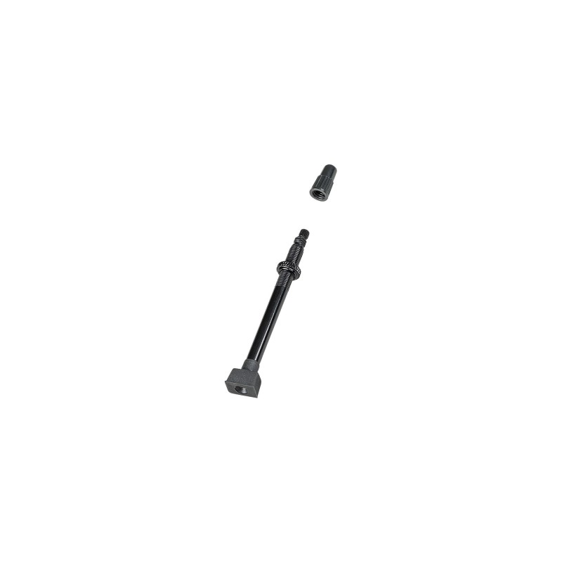 Tubeless valve Bontrager